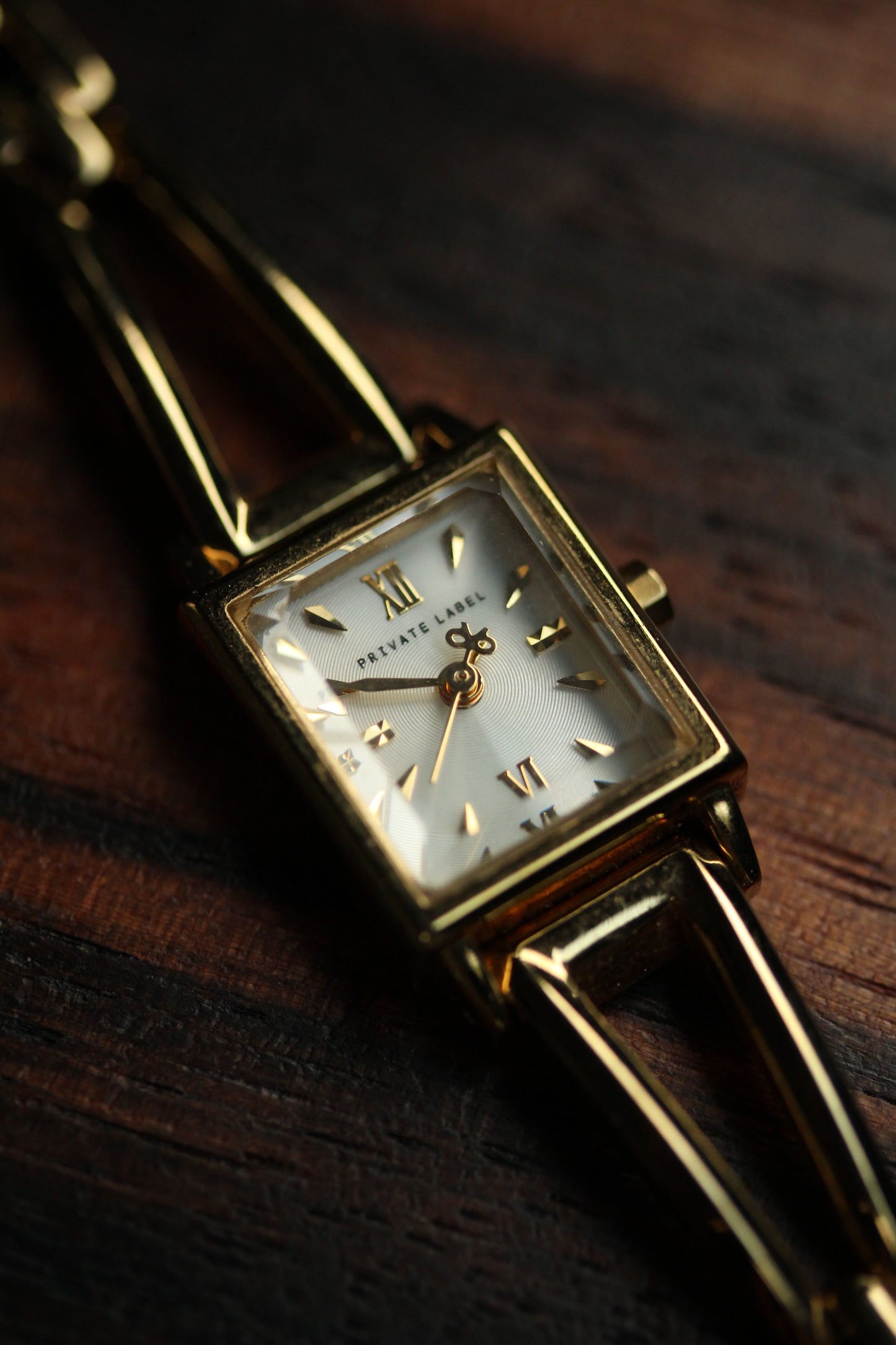 Private label vintage petite watch