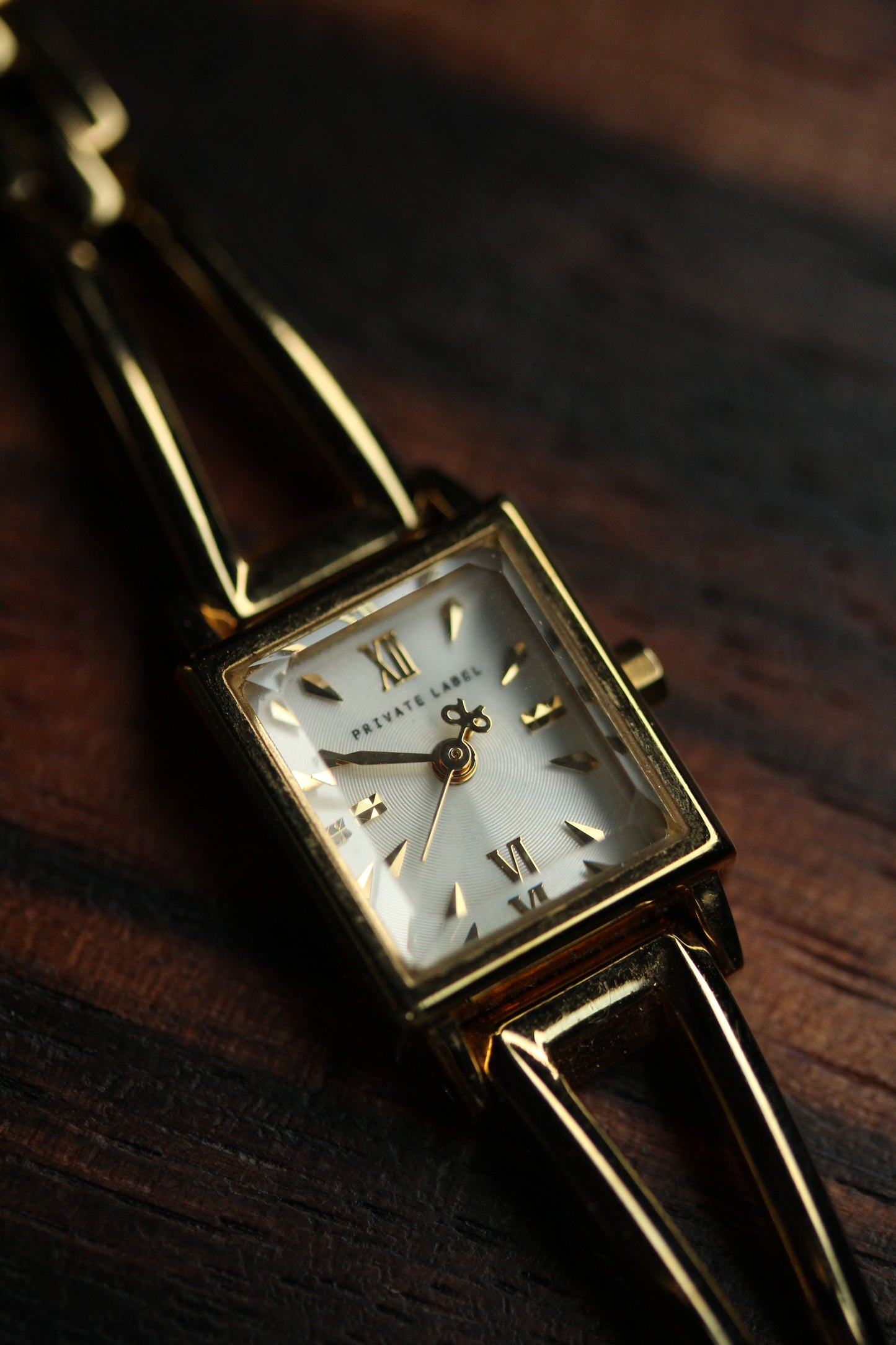 Private label vintage petite watch