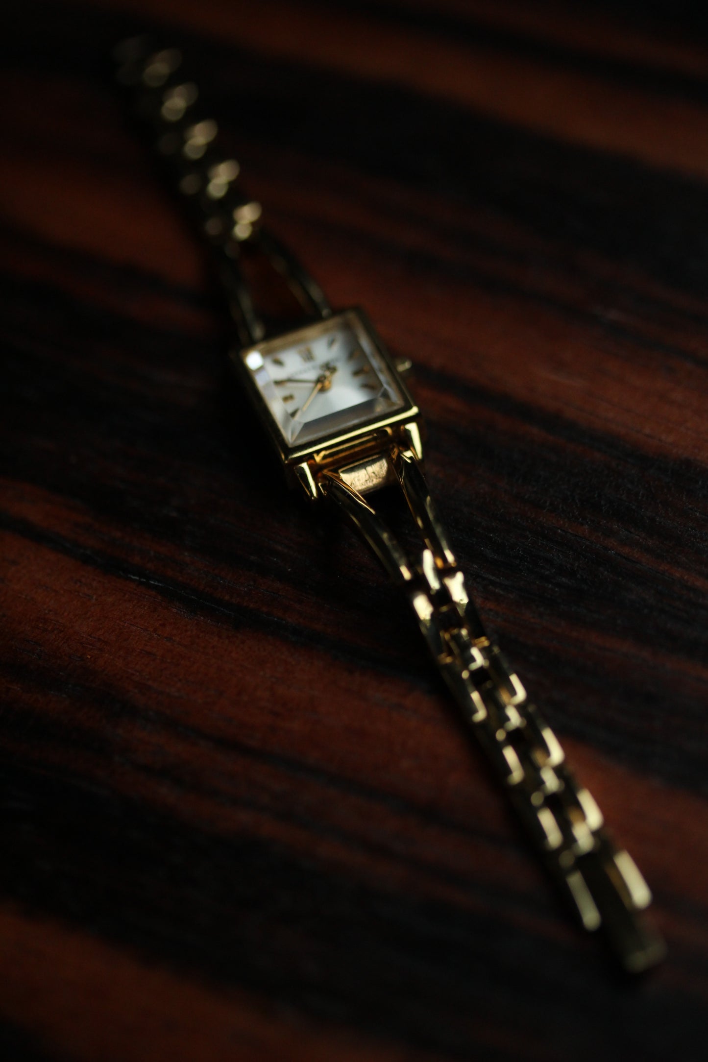 Private label vintage petite watch
